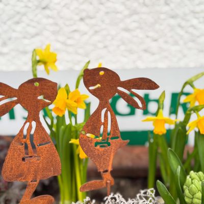 Ein Hauch von Frühling liegt in der Luft 🐣